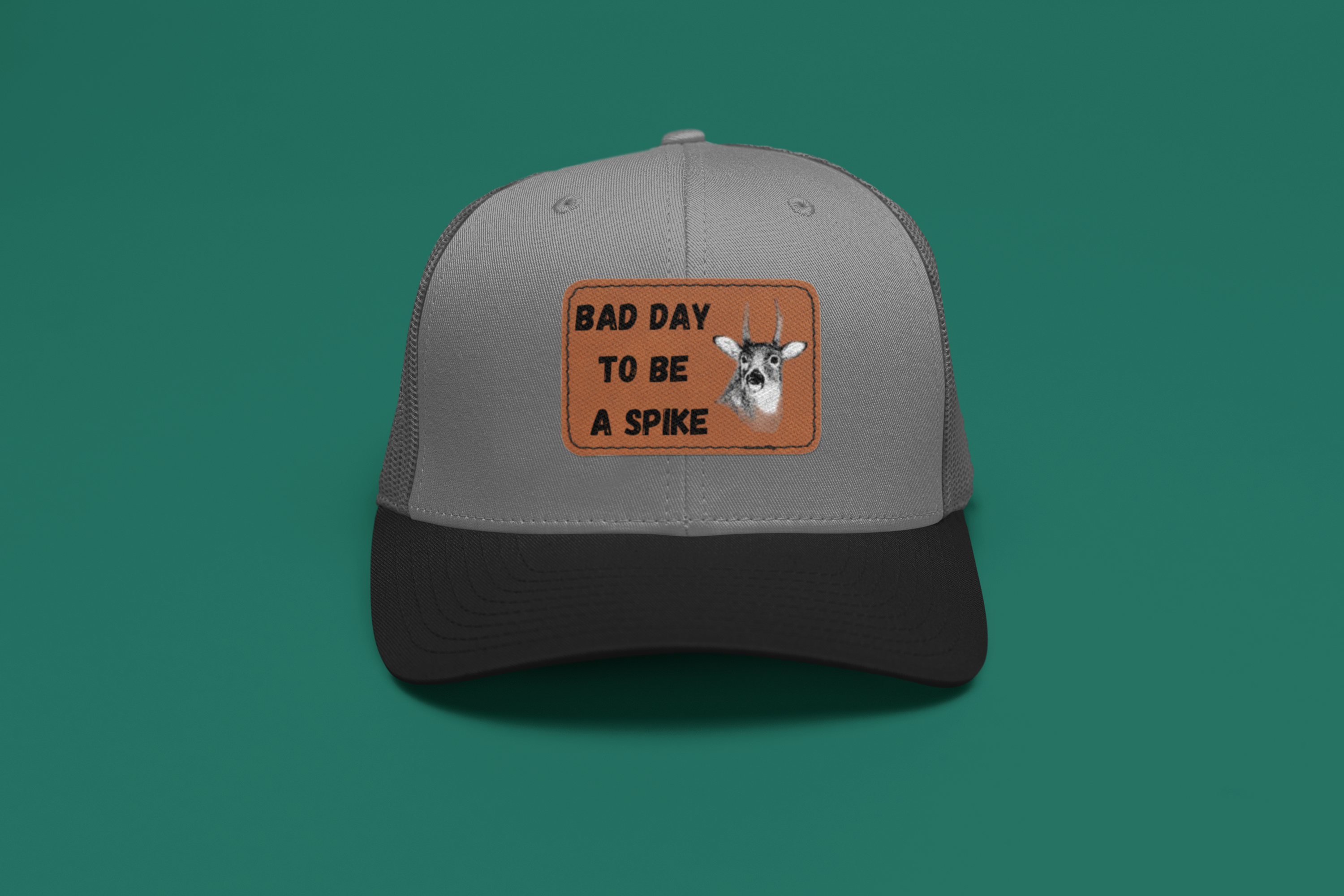 "Bad Day to Be a Spike"- Baseball cap with leather patch